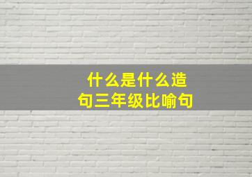 什么是什么造句三年级比喻句