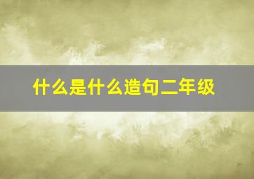 什么是什么造句二年级