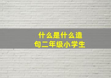 什么是什么造句二年级小学生