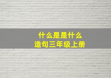 什么是是什么造句三年级上册