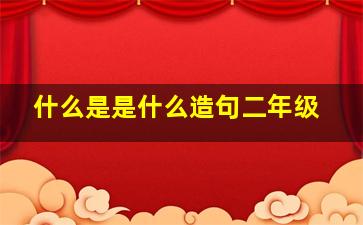 什么是是什么造句二年级