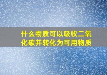 什么物质可以吸收二氧化碳并转化为可用物质