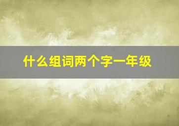 什么组词两个字一年级