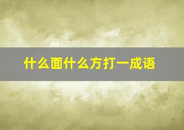 什么面什么方打一成语