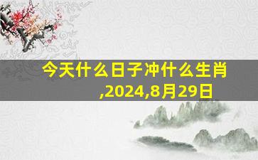 今天什么日子冲什么生肖,2024,8月29日