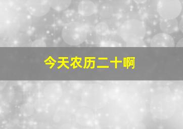 今天农历二十啊