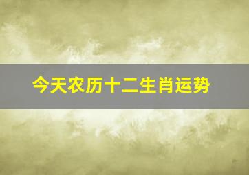 今天农历十二生肖运势