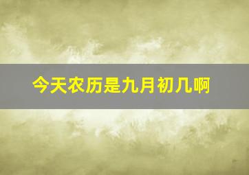 今天农历是九月初几啊