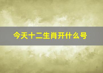 今天十二生肖开什么号