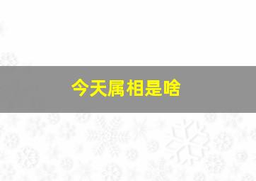 今天属相是啥