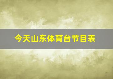 今天山东体育台节目表