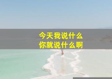 今天我说什么你就说什么啊