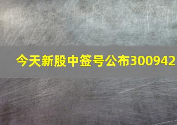 今天新股中签号公布300942