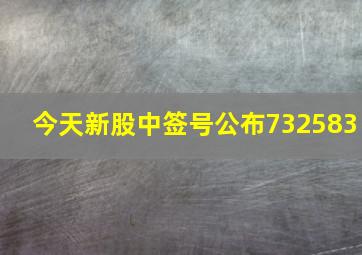 今天新股中签号公布732583