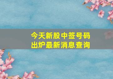 今天新股中签号码出炉最新消息查询