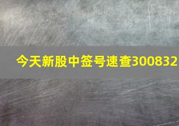 今天新股中签号速查300832