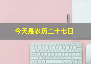 今天是农历二十七日