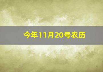 今年11月20号农历