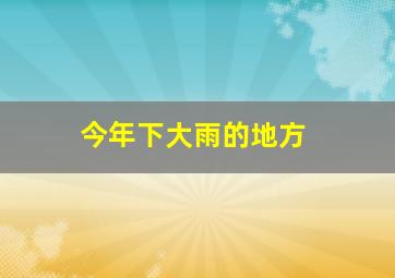 今年下大雨的地方