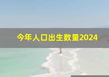 今年人口出生数量2024