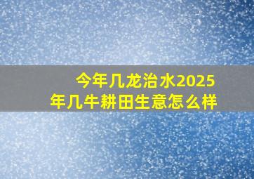 今年几龙治水2025年几牛耕田生意怎么样