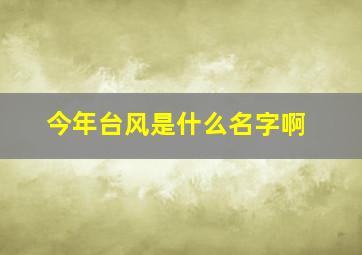 今年台风是什么名字啊