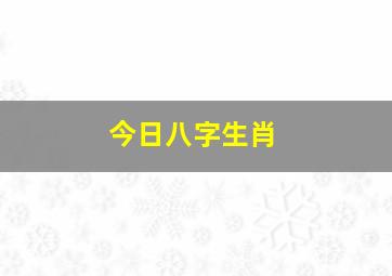 今日八字生肖