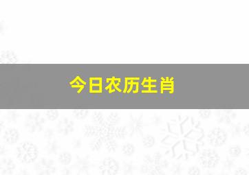 今日农历生肖