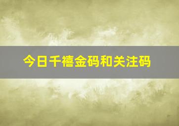 今日千禧金码和关注码