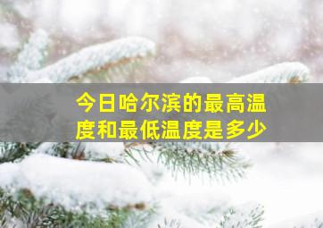 今日哈尔滨的最高温度和最低温度是多少