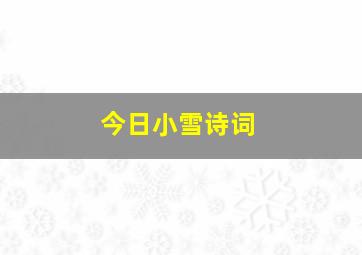 今日小雪诗词