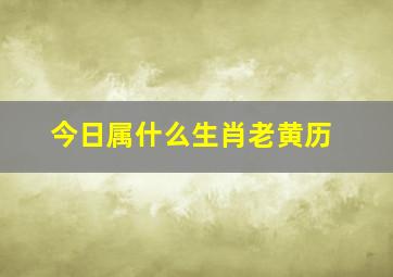 今日属什么生肖老黄历