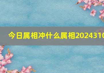 今日属相冲什么属相2024310