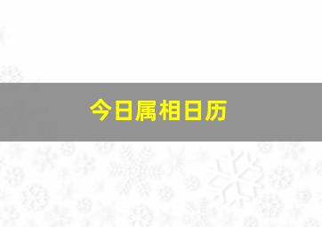 今日属相日历