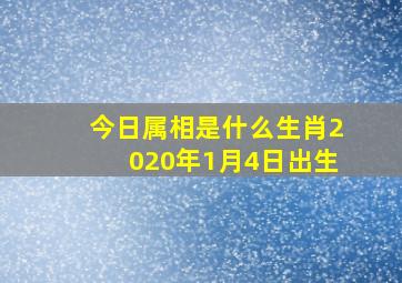 今日属相是什么生肖2020年1月4日出生