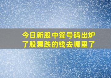 今日新股中签号码出炉了股票跌的钱去哪里了