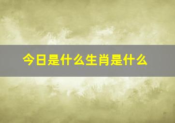 今日是什么生肖是什么