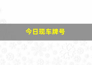 今日现车牌号