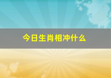 今日生肖相冲什么