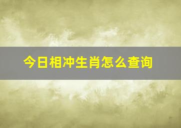 今日相冲生肖怎么查询