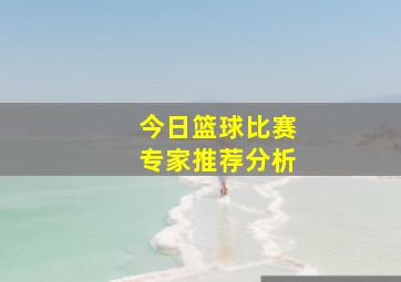 今日篮球比赛专家推荐分析