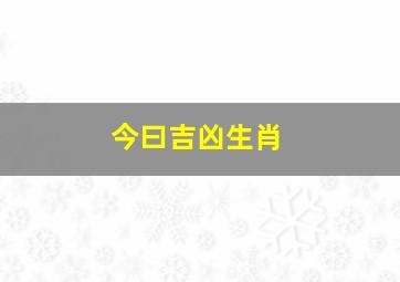 今曰吉凶生肖