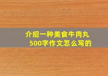 介绍一种美食牛肉丸500字作文怎么写的