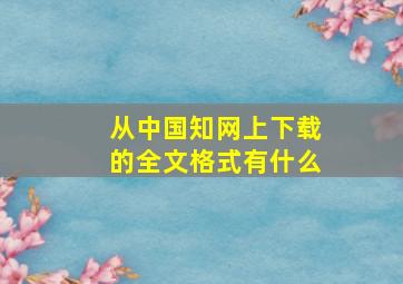 从中国知网上下载的全文格式有什么