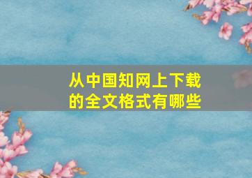 从中国知网上下载的全文格式有哪些