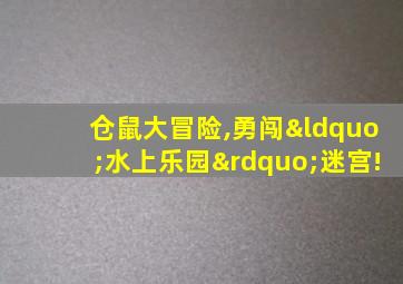 仓鼠大冒险,勇闯“水上乐园”迷宫!