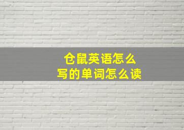 仓鼠英语怎么写的单词怎么读