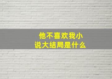 他不喜欢我小说大结局是什么