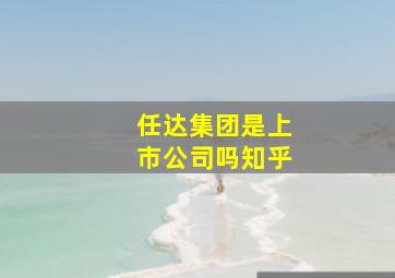 任达集团是上市公司吗知乎