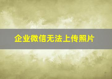 企业微信无法上传照片